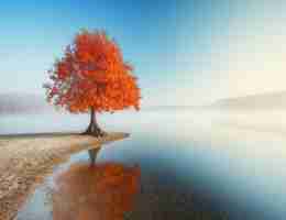 网﻿站﻿外﻿链﻿查‍询​大​全﻿